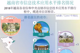 图表新闻：越南省市信息技术应用水平排名情况