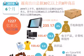 图表新闻：越南出口总额30亿以上的8种商品