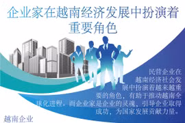 图表新闻：企业家在越南经济发展中扮演着重要角色
