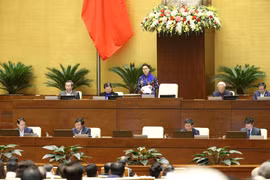 第十四届国会第八次会议：尽早对越南货物原产地规则作出详细规定