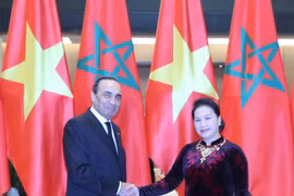 越南国会主席阮氏金银与摩洛哥众议院议长哈比博·马勒克举行会谈 (组图）