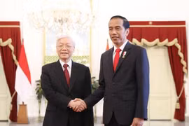 印尼总统佐科·维多多迎接阮富仲总书记。