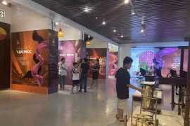 越南努力发展文化产业 认真履行联合国教科文组织公约