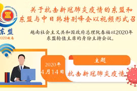 图表新闻：关于抗击新冠肺炎疫情的东盟和东盟与中日韩特别峰会以视频形式召开