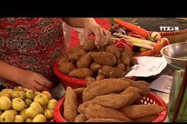 2019年西北地区旅游与美食展热闹登场
