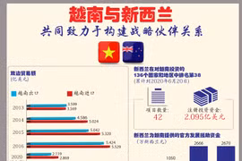 图表新闻：越南与新西兰共同致力于构建战略伙伴关系