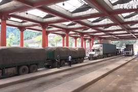 广平省査罗口岸进出口贸易额猛增
