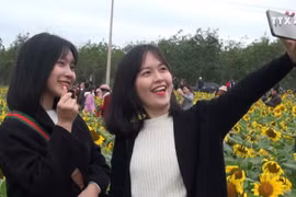 广平省注重发展农业旅游模式