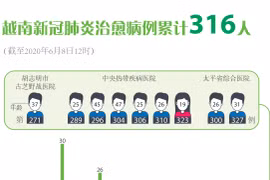 图表新闻：越南新冠肺炎治愈病例累计316人