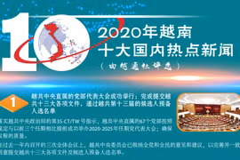 图表新闻：越通社评选出2020年越南十大国内热点新闻