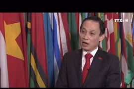 越南为胜利实现联合国可持续发展目标做出努力