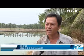 九龙江三角洲多措并举夯实适应气候变化之基