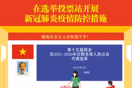 图表新闻：在选举投票站开展新冠肺炎疫情防控措施