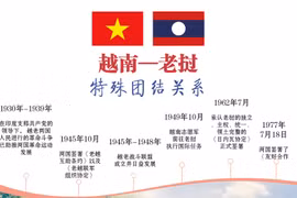 图表新闻：越南-老挝特殊团结关系