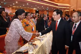 推动越南与中东和非洲各国的合作走向深入务实