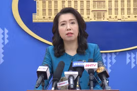 越南外交部举行例行记者会