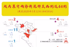 图表新闻：越南累计确诊新冠肺炎病例达44例