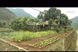 越南北部七个最佳秋季旅行目的地