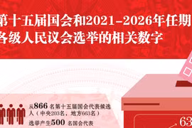 图表新闻：第十五届国会和2021-2026年任期各级人民议会选举的相关数字