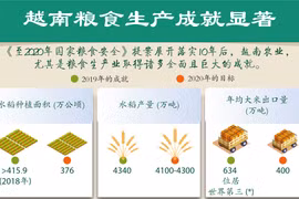 图表新闻：越南粮食生产成就显著