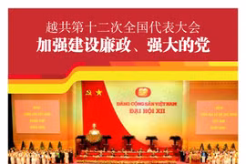 图表新闻：越共第十二次全国代表大会：加强建设廉政、强大的党