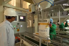 越南优质大米产品得到全球广大消费者的认可