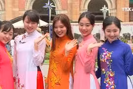 胡志明市以体育文化事件打造旅游新名片