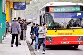 河内市要加快公交基础设施建设 提高公交车运营效率 