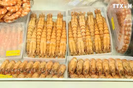 越南虾类产品对中国出口恢复增长