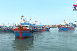 中部地区渔民坚持出海 牢牢捍卫越南海洋岛屿主权
