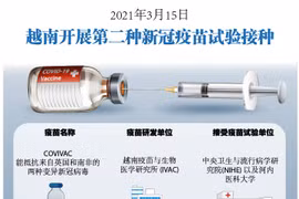 图表新闻：2021年3月15日越南开展第二种新冠疫苗试验接种