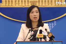 越南外交部：尊重与保障宗教信仰自由是越南的一贯政策