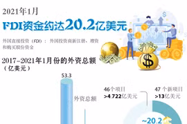 图表新闻：2021年1月FDI资金约达20.2亿美元