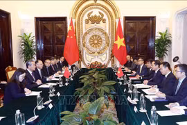 越南与中国外交部长举行会谈