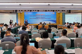 国际专家与越南分享数据生态系统管理经验
