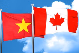 越南强化与加拿大多领域的全面伙伴关系