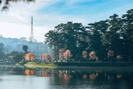 越南常驻联合国教科文组织代表黎氏红云：参加创意城市网络有自豪感和责任感