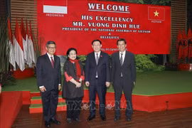 越南国会主席王廷惠会见印度尼西亚民主斗争党主席梅加瓦蒂·苏加诺普特丽 