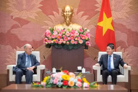 促进越德两国国会关系