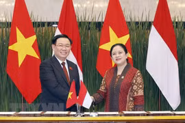 印尼媒体：印尼与越南的关系“就像东盟中的兄弟”