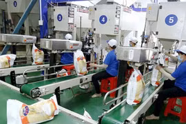 2023年越南稻米企业经营活动将更顺利 