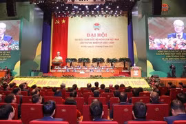 越共中央总书记阮富仲出席越南农民协会第八次全国代表大会并发表重要讲话