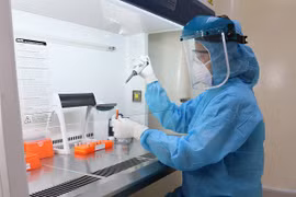 国际分子诊断会议在越南平定省召开