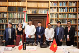 越南了解墨西哥各地方合作机会