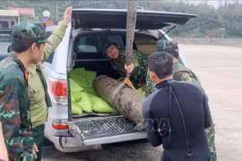 广平省成功处置一枚战后遗留炸弹