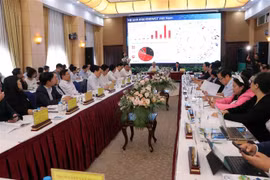 促进胡志明市与西原地区的绿色增长对接
