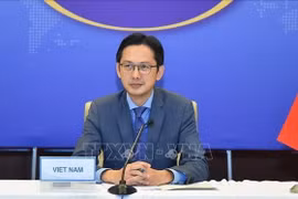越南副外长杜雄越：越南积极合作应对湄公河流域挑战