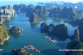 越南旅游官网在东南亚地区排名靠前