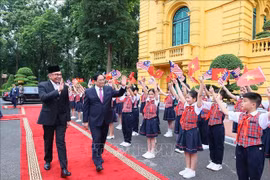 马来西亚专家：越南与马来西亚在东盟中都发挥着重要且不可或缺的作用
