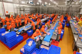 今年11月份新设企业数量呈增长势头